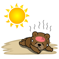 Heat Stroke in Bear