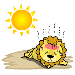 Heat Stroke in Lion