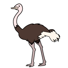 Cute Ostrich