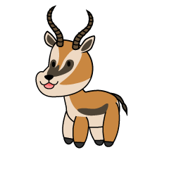 Cute Gazelle