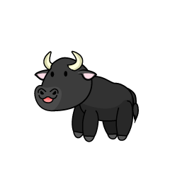 Cute Water Buffalo