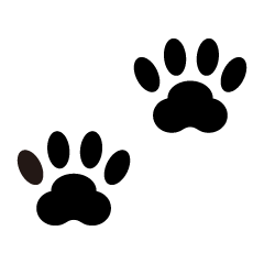 Paw Prints