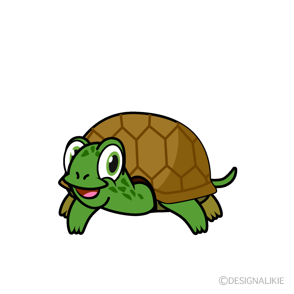 Tortuga Verde Sonriente