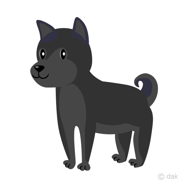 Black Dog