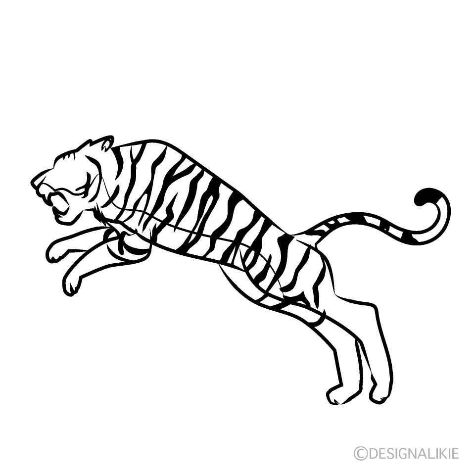 Tiger Black and White