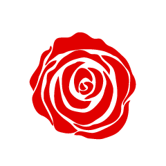 Only Simple Red Rose Flower