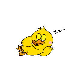 Sleeping Duck