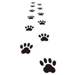 Footprints of a Walking Dog