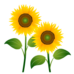 Two Sunflowers