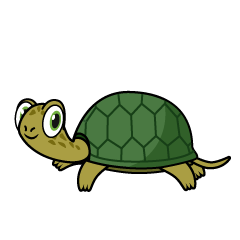 Turtle