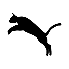 Jumping Cat Silhouette