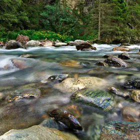 Mountain stream in summer