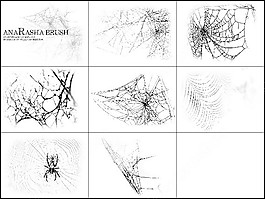 蜘蛛网的刷子