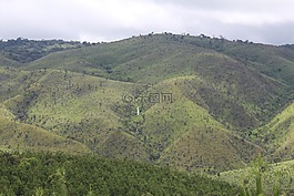 私营部门筹资和伙伴关系司,景观,植树造林