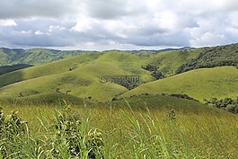 私营部门筹资和伙伴关系司,景观,植树造林