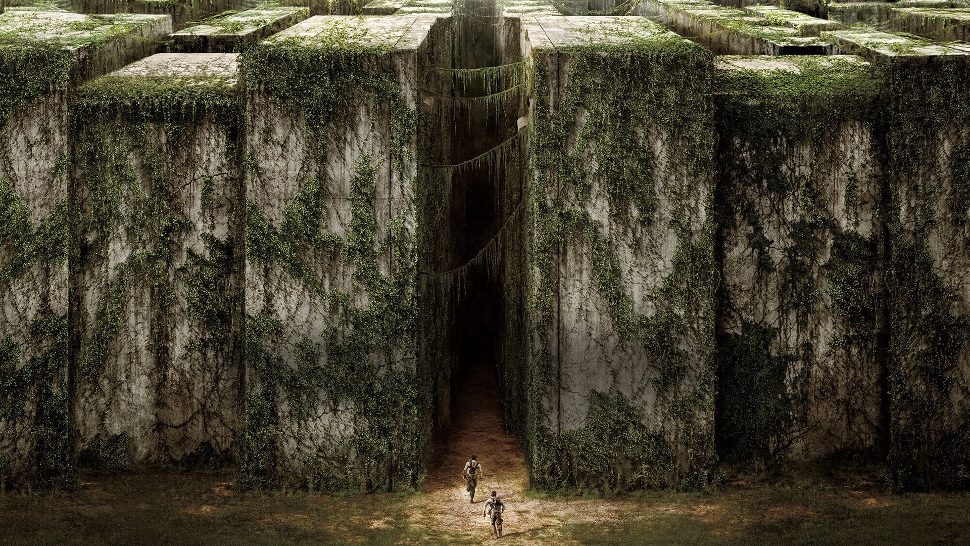 ดูหนังออนไลน์ The Maze Runner (2014) เมซ รันเนอร์ วงกตมฤตยู - เต็ม ...