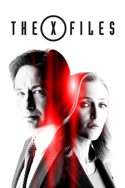 The X Files