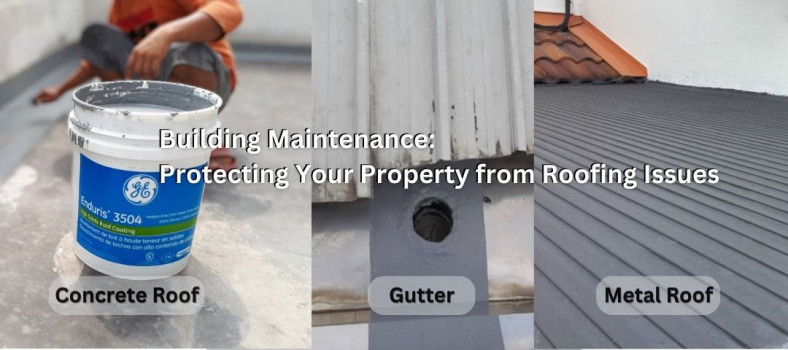 img-building-maintenance-protecting-your-property-from-roofing-issues