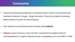 Coenzymes
• Enzymes functional groups takes part in acid-base reaction, to form transient bonds with
substrate or take part in charge – charge interactions. They are less stable for catalyzing
Redox reaction or transfer of a chemical group.
• Such reactions are carried out by small molecules called cofactors
• Cofactors may be metal ions, such as the Zn2+ required for the catalytic activity of
carboxypeptidase A, or organic molecules known as coenzymes, such as the NAD+ in YADH
 