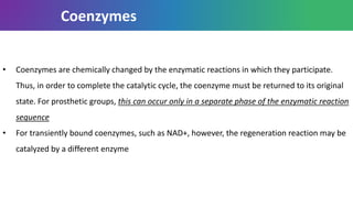 Coenzymes
• Coenzymes are chemically changed by the enzymatic reactions in which they participate.
Thus, in order to complete the catalytic cycle, the coenzyme must be returned to its original
state. For prosthetic groups, this can occur only in a separate phase of the enzymatic reaction
sequence
• For transiently bound coenzymes, such as NAD+, however, the regeneration reaction may be
catalyzed by a different enzyme
 