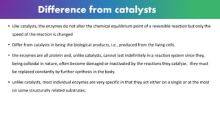 Difference from catalysts
• Like catalysts, the enzymes do not alter the chemical equilibrium point of a reversible reaction but only the
speed of the reaction is changed
• Differ from catalysts in being the biological products, i.e., produced from the living cells.
• the enzymes are all protein and, unlike catalysts, cannot last indefinitely in a reaction system since they,
being colloidal in nature, often become damaged or inactivated by the reactions they catalyze. they must
be replaced constantly by further synthesis in the body.
• unlike catalysts, most individual enzymes are very specific in that they act either on a single or at the most
on some structurally related substrates.
 