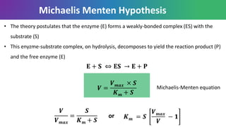 • The theory postulates that the enzyme (E) forms a weakly-bonded complex (ES) with the
substrate (S)
• This enyzme-substrate complex, on hydrolysis, decomposes to yield the reaction product (P)
and the free enzyme (E)
Michaelis Menten Hypothesis
𝐄 + 𝐒 ⇔ 𝐄𝐒 → 𝐄 + 𝐏
𝑽
𝑽 𝒎𝒂𝒙
=
𝑺
𝑲 𝒎 + 𝑺
𝑽 =
𝑽 𝒎𝒂𝒙 × 𝑺
𝑲 𝒎 + 𝑺
Michaelis-Menten equation
𝑲 𝒎 = 𝑺
𝑽 𝒎𝒂𝒙
𝑽
− 𝟏or
 