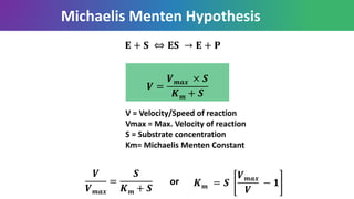 Michaelis Menten Hypothesis
𝐄 + 𝐒 ⇔ 𝐄𝐒 → 𝐄 + 𝐏
𝑽
𝑽 𝒎𝒂𝒙
=
𝑺
𝑲 𝒎 + 𝑺
𝑽 =
𝑽 𝒎𝒂𝒙 × 𝑺
𝑲 𝒎 + 𝑺
V = Velocity/Speed of reaction
Vmax = Max. Velocity of reaction
S = Substrate concentration
Km= Michaelis Menten Constant
𝑲 𝒎 = 𝑺
𝑽 𝒎𝒂𝒙
𝑽
− 𝟏or
 