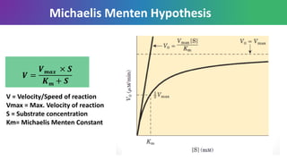 Michaelis Menten Hypothesis
𝑽 =
𝑽 𝒎𝒂𝒙 × 𝑺
𝑲 𝒎 + 𝑺
V = Velocity/Speed of reaction
Vmax = Max. Velocity of reaction
S = Substrate concentration
Km= Michaelis Menten Constant
 