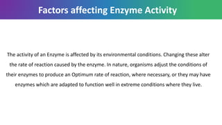 The activity of an Enzyme is affected by its environmental conditions. Changing these alter
the rate of reaction caused by the enzyme. In nature, organisms adjust the conditions of
their enzymes to produce an Optimum rate of reaction, where necessary, or they may have
enzymes which are adapted to function well in extreme conditions where they live.
Factors affecting Enzyme Activity
 