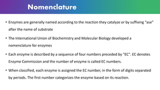 Nomenclature
• Enzymes are generally named according to the reaction they catalyze or by suffixing “ase”
after the name of substrate
• The International Union of Biochemistry and Molecular Biology developed a
nomenclature for enzymes
• Each enzyme is described by a sequence of four numbers preceded by "EC". EC denotes
Enzyme Commission and the number of enzyme is called EC numbers.
• When classified, each enzyme is assigned the EC number, in the form of digits separated
by periods. The first number categorizes the enzyme based on its reaction.
 