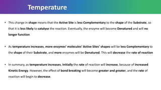 • This change in shape means that the Active Site is less Complementary to the shape of the Substrate, so
that it is less likely to catalyse the reaction. Eventually, the enzyme will become Denatured and will no
longer function
• As temperature increases, more enzymes’ molecules’ Active Sites’ shapes will be less Complementary to
the shape of their Substrate, and more enzymes will be Denatured. This will decrease the rate of reaction
• In summary, as temperature increases, initially the rate of reaction will increase, because of increased
Kinetic Energy. However, the effect of bond breaking will become greater and greater, and the rate of
reaction will begin to decrease.
Temperature
 