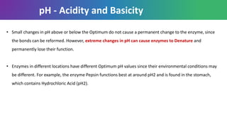 • Small changes in pH above or below the Optimum do not cause a permanent change to the enzyme, since
the bonds can be reformed. However, extreme changes in pH can cause enzymes to Denature and
permanently lose their function.
• Enzymes in different locations have different Optimum pH values since their environmental conditions may
be different. For example, the enzyme Pepsin functions best at around pH2 and is found in the stomach,
which contains Hydrochloric Acid (pH2).
pH - Acidity and Basicity
 