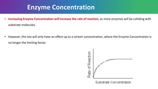 • Increasing Enzyme Concentration will increase the rate of reaction, as more enzymes will be colliding with
substrate molecules.
• However, this too will only have an effect up to a certain concentration, where the Enzyme Concentration is
no longer the limiting factor.
Enzyme Concentration
 