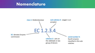 Nomenclature
EC 1.2.3.4
EC: denotes Enzyme
commission
class 1: Oxidoreductase
subclass 2: acts on
the aldehyde or oxo
group of donors
sub-subclass 3: oxygen is an
acceptor
serial number 4:
fourth enzyme
classified in this sub-
subclass
 