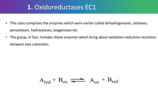 1. Oxidoreductases EC1
• This class comprises the enzymes which were earlier called dehydrogenases, oxidases,
peroxidases, hydroxylases, oxygenases etc
• The group, in fact, includes those enzymes which bring about oxidation-reduction reactions
between two substrates
 