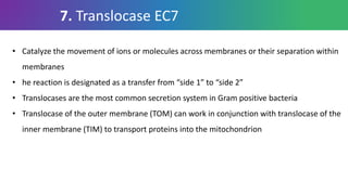 7. Translocase EC7
• Catalyze the movement of ions or molecules across membranes or their separation within
membranes
• he reaction is designated as a transfer from “side 1” to “side 2”
• Translocases are the most common secretion system in Gram positive bacteria
• Translocase of the outer membrane (TOM) can work in conjunction with translocase of the
inner membrane (TIM) to transport proteins into the mitochondrion
 