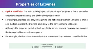 Properties of Enzymes
C. Optical specificity: The most striking aspect of specificity of enzymes is that a particular
enzyme will react with only one of the two optical isomers
• For example, arginase acts only on Larginine and not on its D-isomer. Similarly, D-amino
acid oxidase oxidizes the D-amino acids only to the corresponding keto acids
• Although, the enzymes exhibit optical specificity, some enzymes, however, interconvert
the two optical isomers of a compound
• For example, alanine racemase catalyzes the interconversion between L- and D-alanine
 