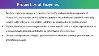 Properties of Enzymes
• Another enzyme pepsin prefers bonds involving the carboxyl and amino groups of
dicarboxylic and aromatic amino acids respectively. Since the bonds attached are usually
located in the interior of the protein substrate, pepsin is called an endopeptidase
• Trypsin, likewise, is an endopeptidase but is quite specific in that it splits peptide bonds in
which carboxylic group is contributed by either lysine or arginine only
• Chymotrypsin preferentially splits peptide bonds in which the carboxyl group is from an
aromatic amino acid
 