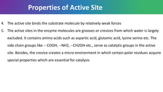 Properties of Active Site
4. The active site binds the substrate molecule by relatively weak forces
5. The active sites in the enzyme molecules are grooves or crevices from which water is largely
excluded. It contains amino acids such as aspartic acid, glutamic acid, lysine serine etc. The
side chain groups like -- COOH, --NH2, --CH2OH etc., serve as catalytic groups in the active
site. Besides, the crevice creates a micro-environment in which certain polar residues acquire
special properties which are essential for catalysis
 