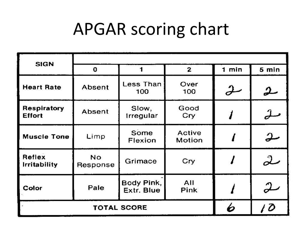 Printable Apgar Score Chart