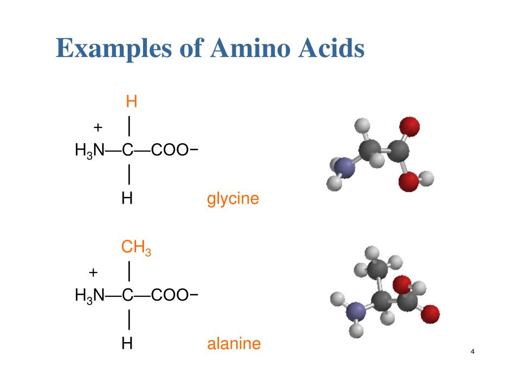 Amino Acid Structure