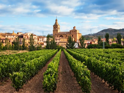 Siete hoteles con encanto para disfrutar del enoturismo en La Rioja