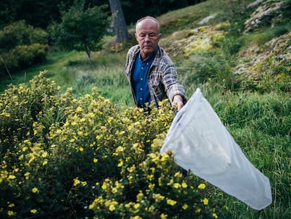 Fredrik Sjöberg, en su casa en la isla de Runmarö, en Estocolmo.