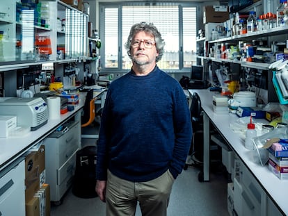 Francisco Javier Moreno Nuncio, en un laboratorio del Centro Nacional de Microbiología del Instituto de Salud Carlos III.