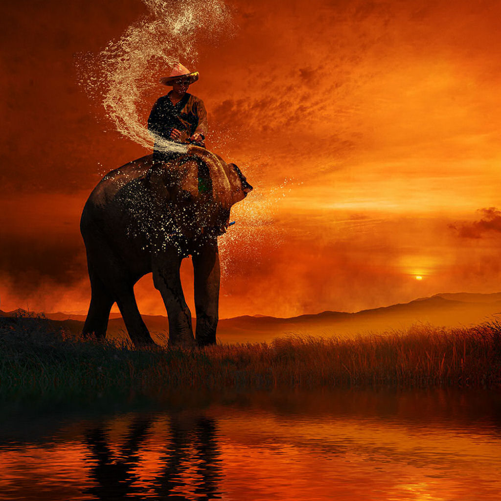 Refrescante - Caras Ionut