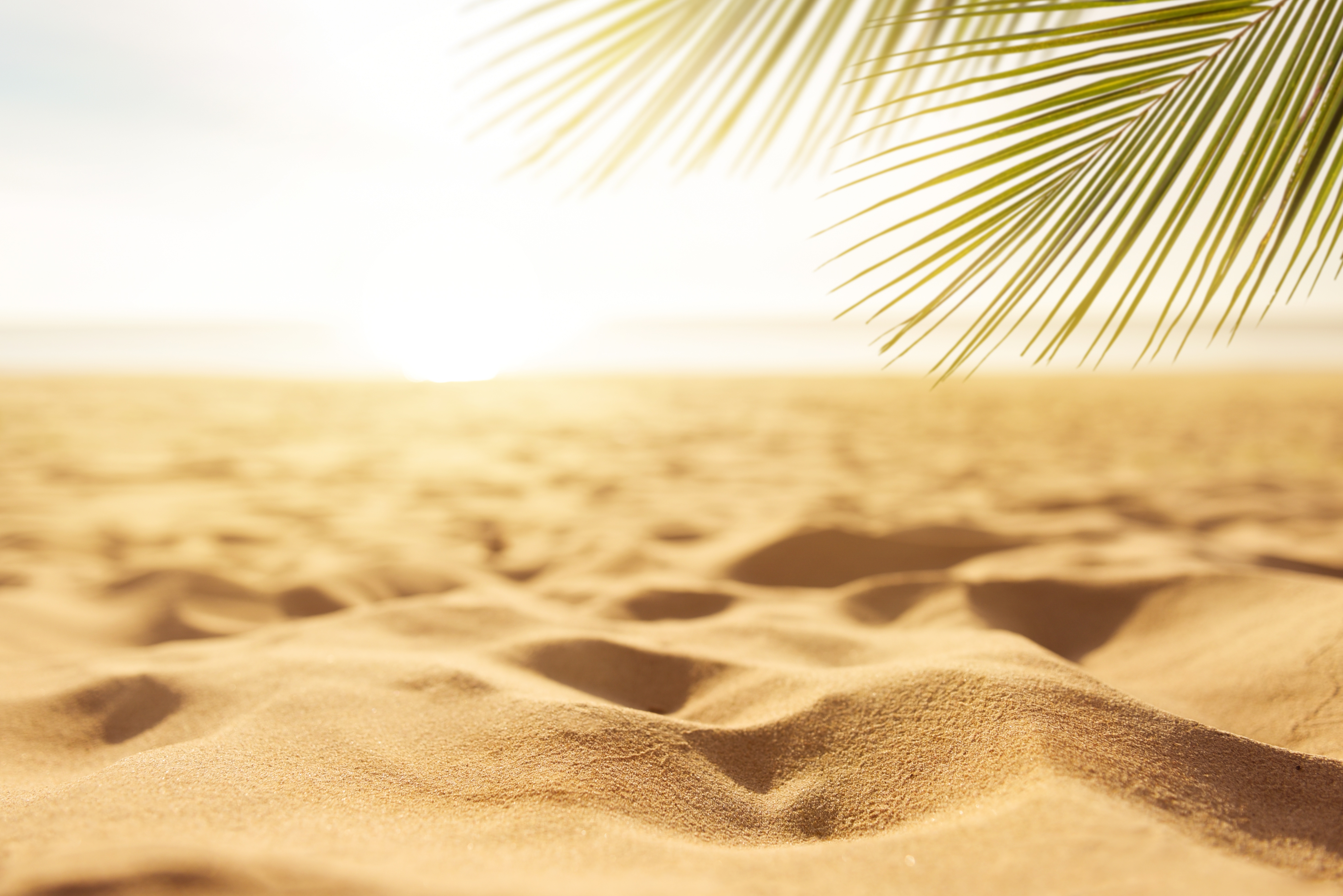 440+ 4K Sand Wallpapers | Background Images