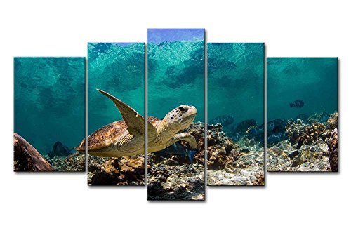 So Crazy Art® Blue 5 Panel Wall Art Painting Underwater Turtle Prints On Canvas The Picture Animal Pictures Oil For Home Modern Decoration Print Decor by So Crazy Art