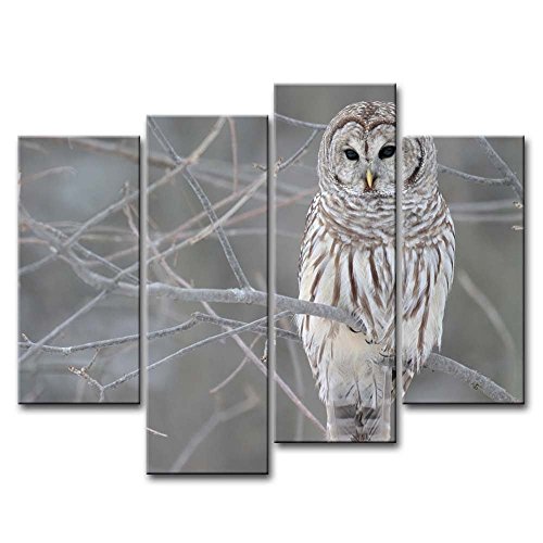 4 Piece Wall Art Picture White Owl In The Tree Prints On Canvas The Animal Pictures Oil For Home Modern Decoration Print Decor