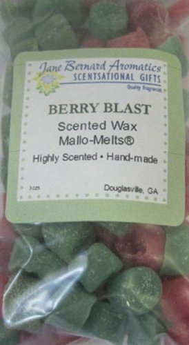 Scented Hand Made Tart Melts Wax Potpourri_4 Oz Bag-Berry Blast