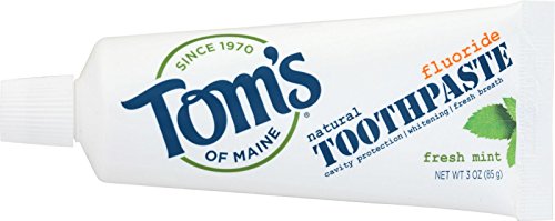 Tom's of MaineTravel Size Anticavity Toothpaste - Fresh Mint, 3 Ounce